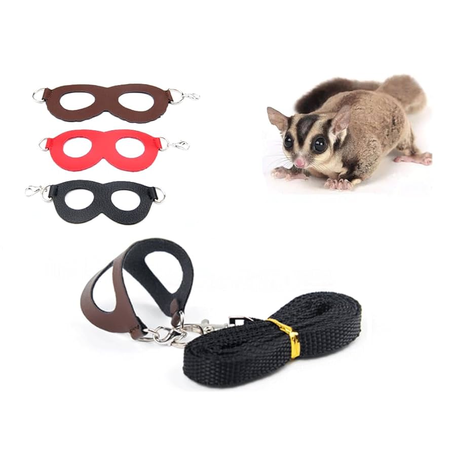 フクロモモンガ Amazon | フクロモモンガ 飼育ベビーセット 保温と授乳が必要な